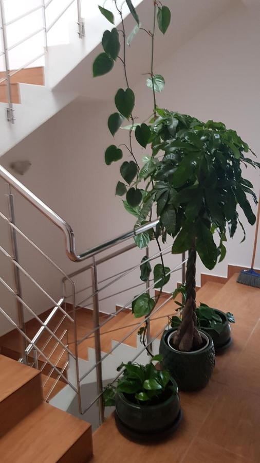 Dativo House Năvodari 외부 사진