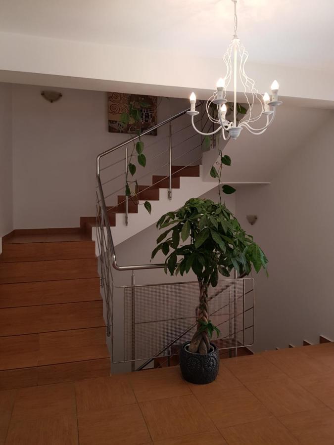 Dativo House Năvodari 외부 사진