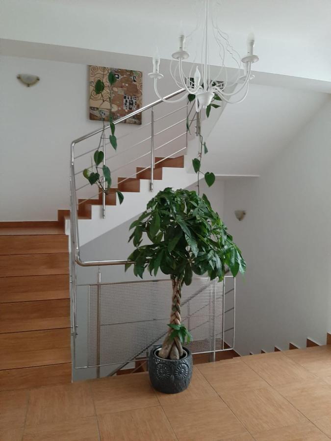 Dativo House Năvodari 외부 사진