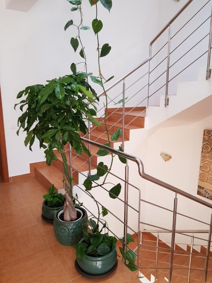 Dativo House Năvodari 외부 사진